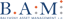 Balyasny Logo