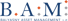 Balyasny Logo