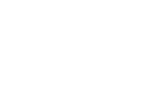 VDD-october-2021-wwod-logo-white