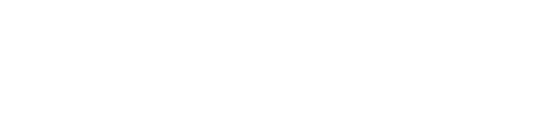 battlefin-logotypewhite
