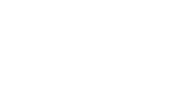 datadrop_logo_wht