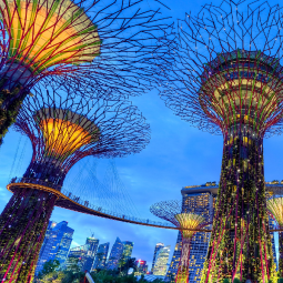 singapore-gardens-by-the-bay