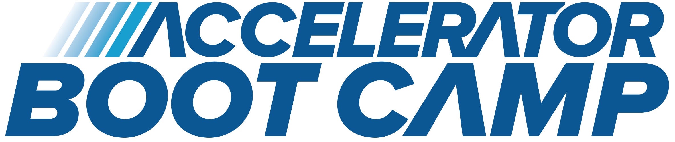 Accelerator-Bootcamp-Headline-Blue