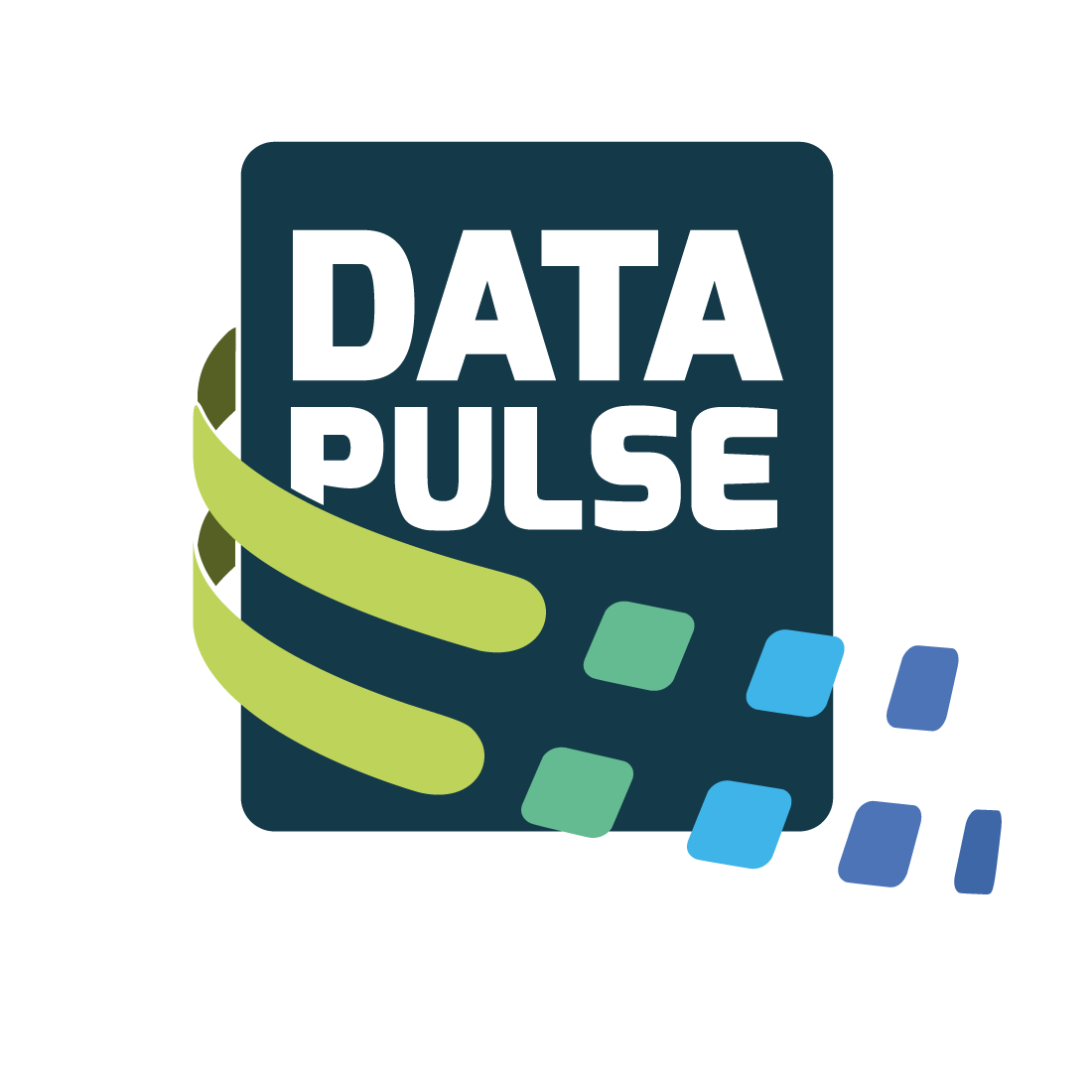 DataPulse Logo