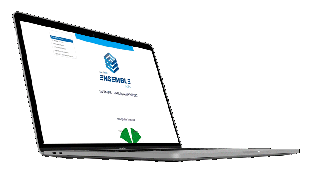 dataqualityreport_ensemble_1000blk-2 dataqualityreport_ensemble_1000blk-2