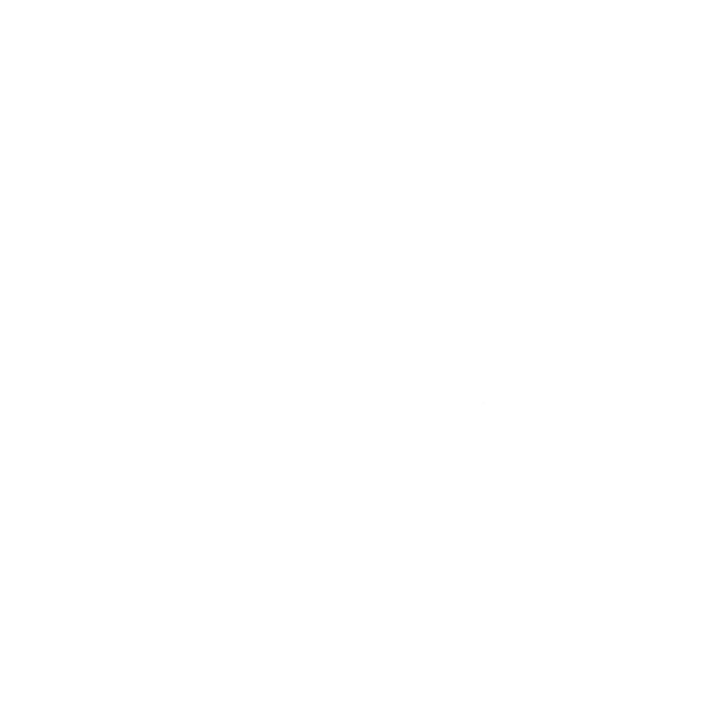 new-york.png